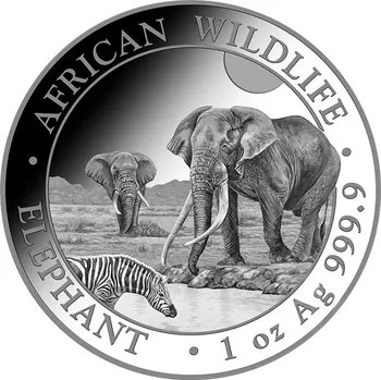 Somálsko - Slon africký 1 Oz 2026