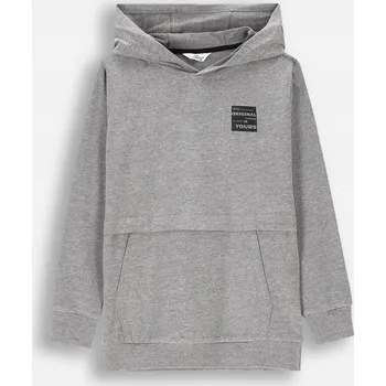 Pánská mikina Chlapecká šedá Tepláková Mikina mikina s kapucí Coccodrillo ZC4