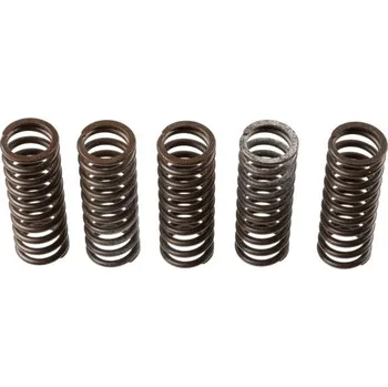 Spojka Spojková pružina - sada TRW MEF308-6