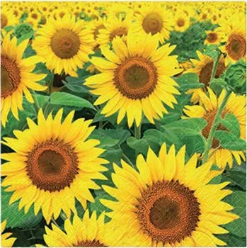 Papírový ubrousek Ubrousky 33 cm – Slunečnicové pole