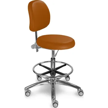 MAYER židle 1255 dent 30 529