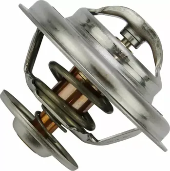 Termostat AGCO originál. | ACW2170430; V836331590; V837084949 | AGROAD