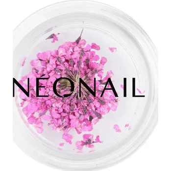 Přípravek na nehty Květinová dekorace 02 Purple