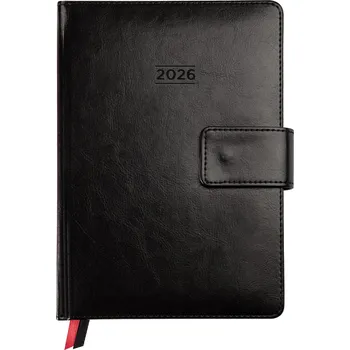 Albi Manažerský diář A5 denní 2026, černý