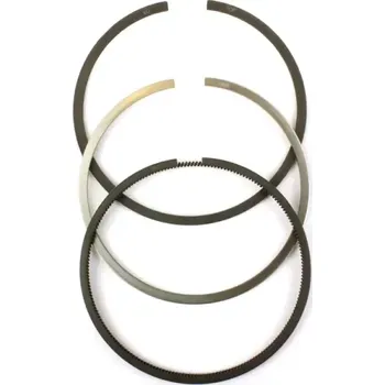 Píst motoru CZ Sada pístních kroužků průměr 100/3kr. | 6211-0096; 6011-0095 | AGROAD
