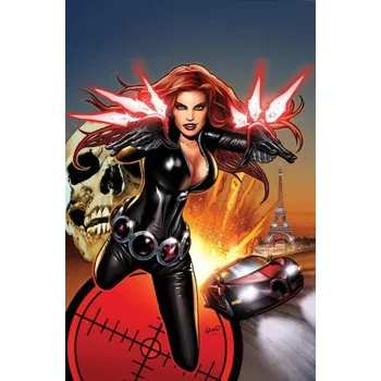 Kniha Black Widow Modern Era Epic Collection: Widowmaker (Marjorie Liu,John Paul Leon,Tom Raney)(Brožovaná)