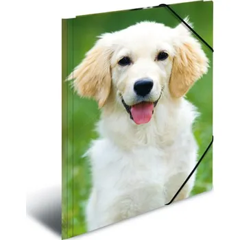 desky na sešit HERMA Deska s gumičkou PP A3 Dogs