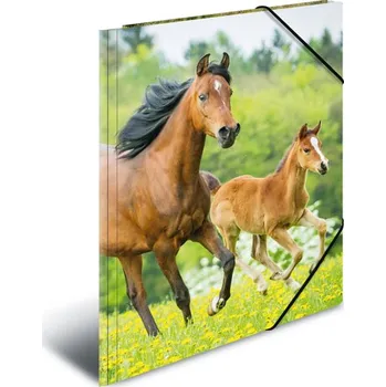 HERMA Deska s gumičkou PP A3 Horses