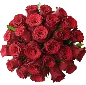 umělá květina Kytice 25 červených růží RHODOS 70 cm