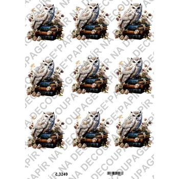 Umělecký papír Rýžový a soft papír na decoupage - Sova na knize - KB3249 Materiál: Soft, Rozměr: A4