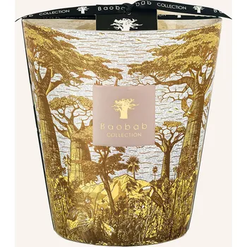 Svíčka Baobab Collection Vonná Svíčka Sacred Trees Bounkani, žlutá /...