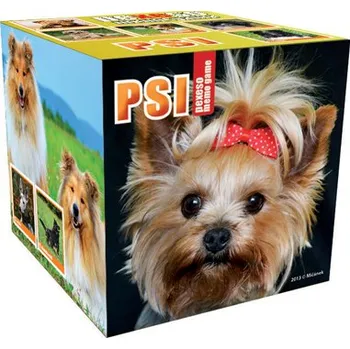 Pexeso Petr Mičánek Pexeso Box Psi