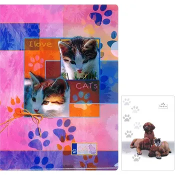 Junior Obal L - DF10 C dětský design