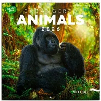 Kalendář Kalendář 2026 poznámkový: Ohrožené druhy 30 x 30 cm - Notique