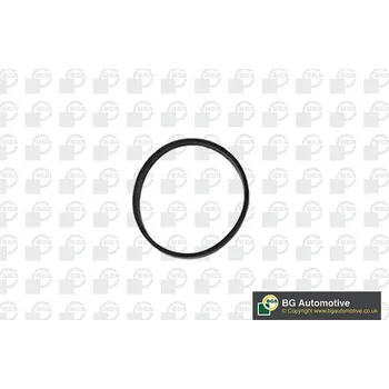 Těsnění motoru Těsnění, koleno sacího potrubí BGA RW3399