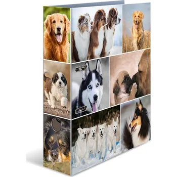 HERMA Pořadač pákový A4/7 cm Psi