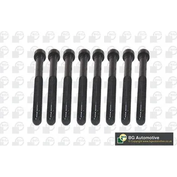 Spojovací materiál motoru Sada šroubů hlavy válce BGA BK5916
