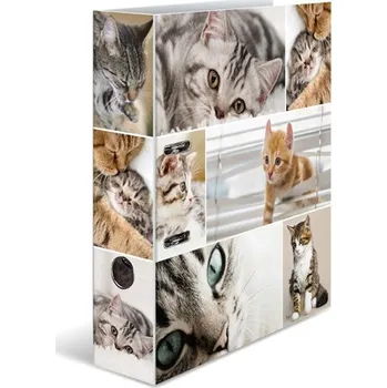 HERMA Pořadač pákový A4/7 cm Kočky