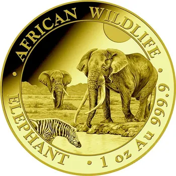 Zlatá investiční mince Slon africký Somálsko 1 Oz 2026