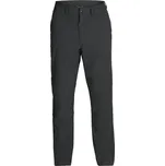 Kalhoty Royal Robbins MENS WILDER PANT Man velikost 36