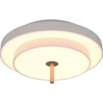 Trio T640210176 LED přisazené stropní svítidlo KEATON | 34W integrovaný LED zdroj | 1x4000lm | 2300+3000+4000K | Trio - SwitchDimmer | šedá + sada - Trio LED žárovka 2x10W | E27 | 3000K | 806lm