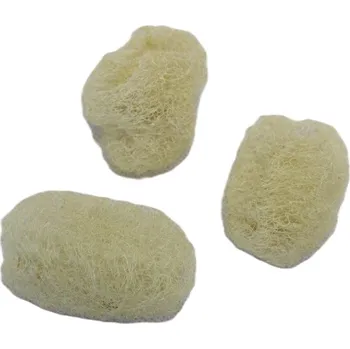 Luffa 6 - 8 cm