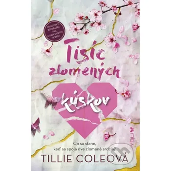 Kniha Tisíc zlomených kúskov (Pevná)