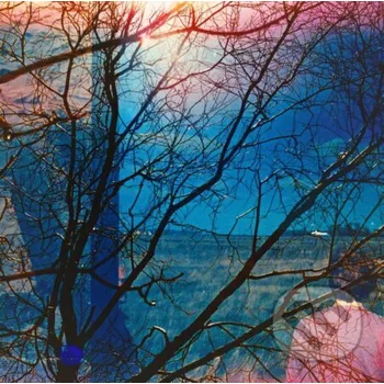 Zahraniční hudba Idlewild: Idlewild - Idlewild Music on Vinyl