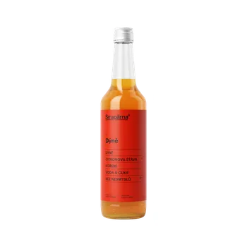 Sirup Sirupárna Domácí Dýňový Sirup 0,5 l