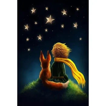 Diamantové malování Zakázková pro Diamantovani.cz Malý princ