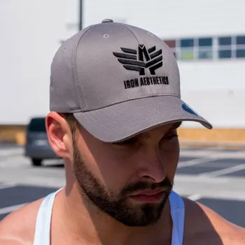 Kšiltovka Pánská kšiltovka Iron Aesthetics FlexFit, šedá : Barva - Šedá, Velikost - L - XL