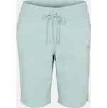 Kraťasy DKNY Mineral 1175568 14 (L)