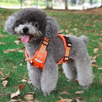 Postroj pro psa Postroj pro Psa Reflexní Výcvikový S Oranžový