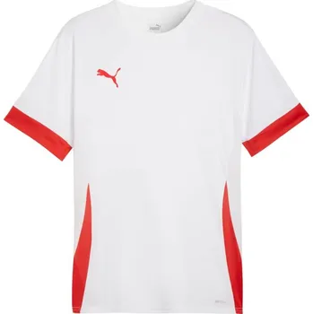 Pánské tričko Puma teamGoal Matchday Jersey M 705747 11 pánské m