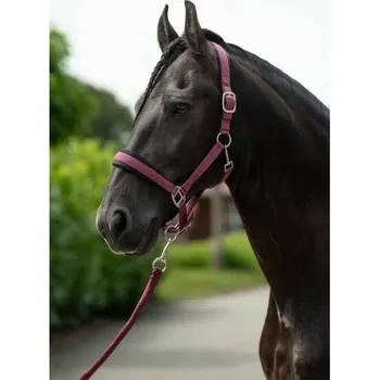 Ohlávka HKM Samantha bordeaux FULL