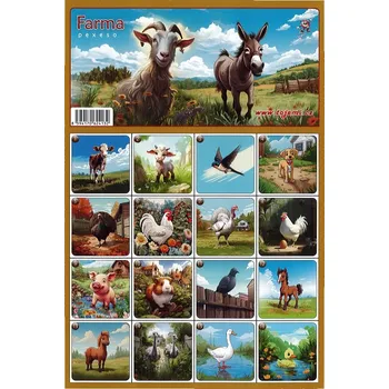 Pexeso Petr Mičánek Pexeso A4 Farma