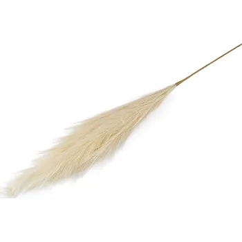 umělá květina Pampová tráva, barva 2 krémová světlá