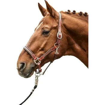 Kožená ohlávka HKM Soft brown FULL