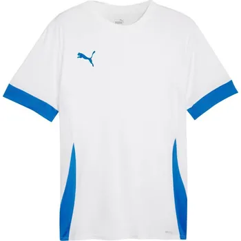 Puma teamGoal Matchday Jersey M 705747 12 pánské L