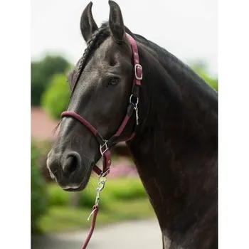 Ohlávka HKM Carlotta bordeaux COB