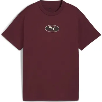Chlapecké oblečení Tričko Puma Burgandy 1175645 11-12 (L)