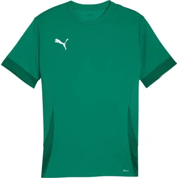 Pánské tričko Puma teamGoal Matchday Jersey M 705747 05 pánské s
