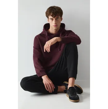 Pánská mikina Mikina Medicine pánská, vínová barva, s kapucí RW25-BLM070 93M, vel. L