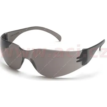 brýle INTRUDER šedé 2015590201000