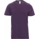 PAYPER SUNSET 000101-0030 / Pánské tričko s krátkým rukávem - violet M