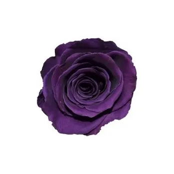 Kytice Thea (Vázaná kytice ze stabilizovaných rostlin - vydrží až 730 dní)