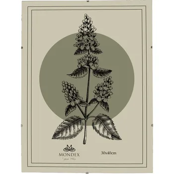 Obraz Jednoduchý Rámeček Mondex 0,3 x 41 cm