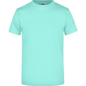 Pánské tričko DAIBER JN 02 / Pánské tričko z těžké bavlny - mint XXXL