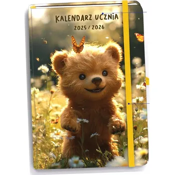 Diář Školní diář 2025 B6 Antra vícebarevný