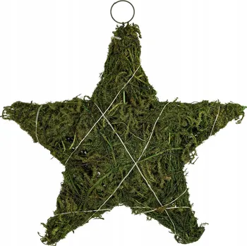 Vánoční dekorace Svítící hvězda, vánoční dekorace do okna, LED, na baterie, 30 x 30 x 8 cm